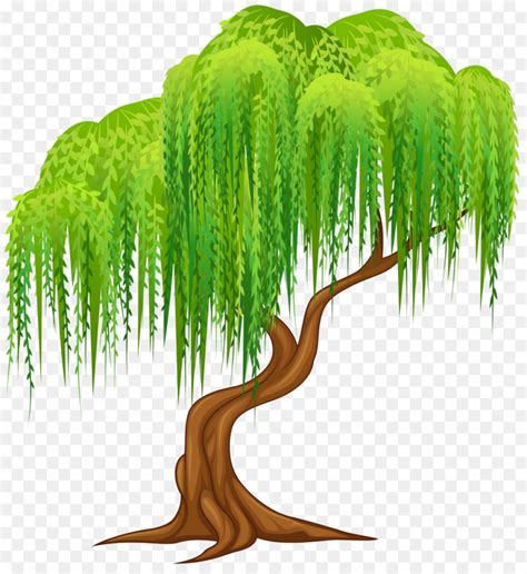 Willow tree clipart - On average, tree removal costs around $750 to $1,200. Read this full breakdown of costs to expect from your tree removal project and how to save. Expert Advice On Improving Your Ho...